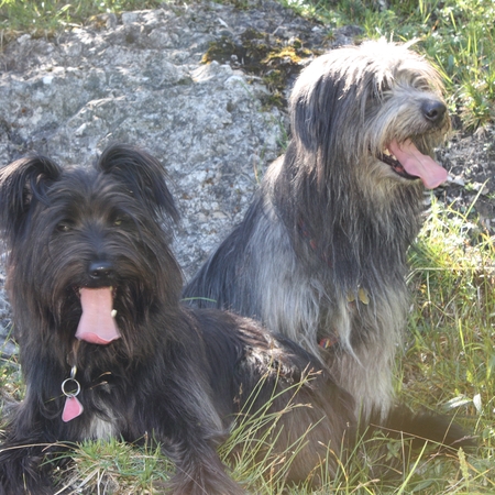 Urlaub im Allgäu (8)